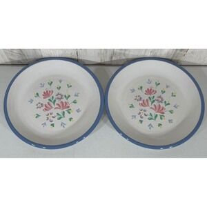 Spectrum Stoneware 11 Inch Dinner Plates White Blue Floral Japan Set of‎ 2